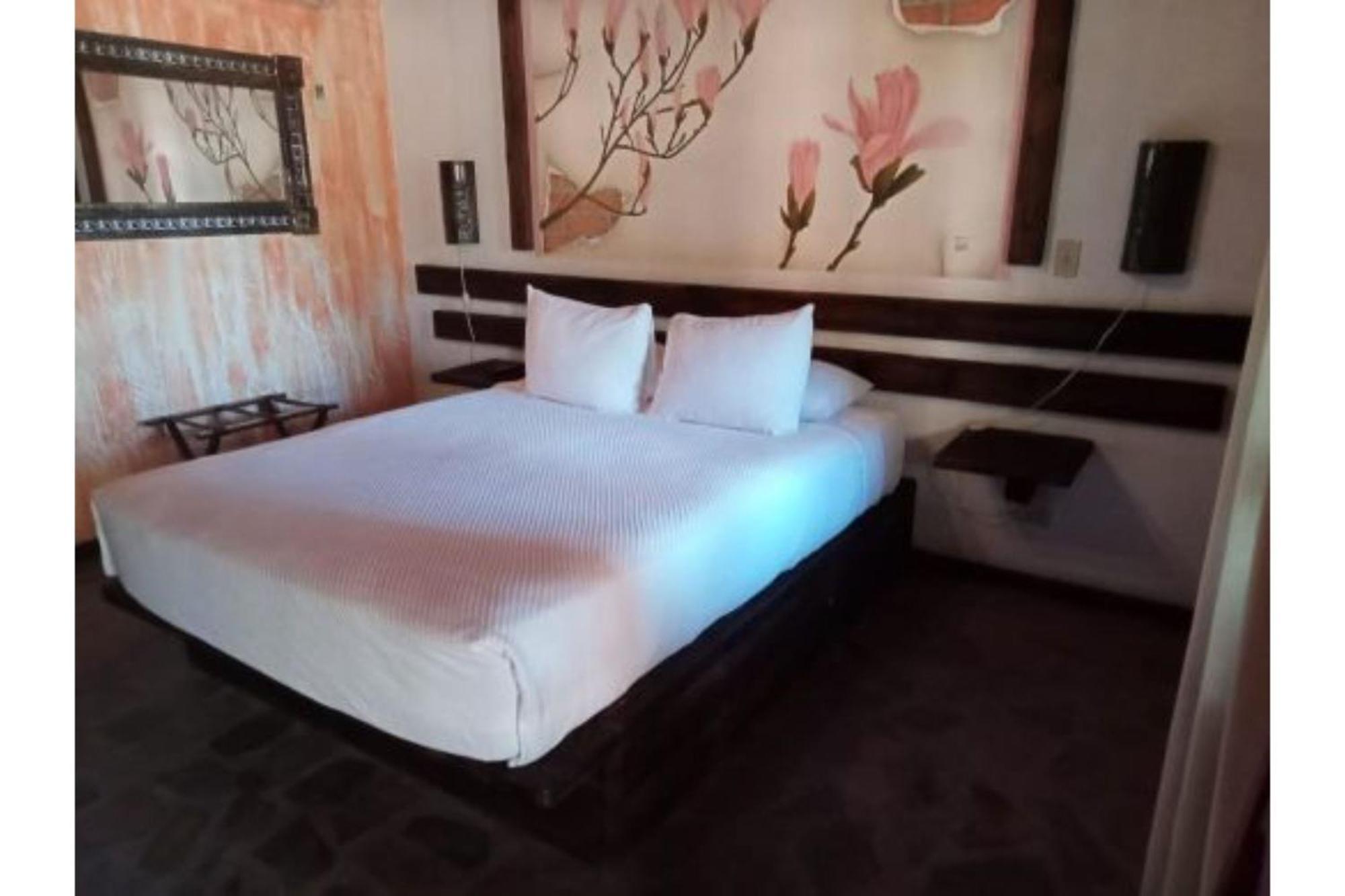 Hotel Boutique Posada De Las Flores Loreto Лорето Экстерьер фото